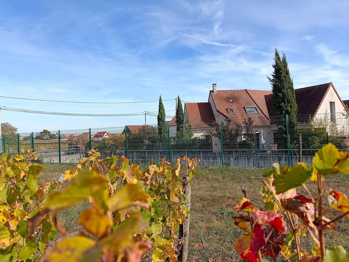 Villa Des Climats Bourgogne Marsannay-la-Côte Exteriör bild